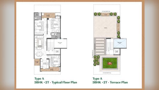 Avana Type A 3BHK + 2T - Typical Floor & Terrace Plan